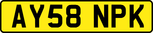 AY58NPK