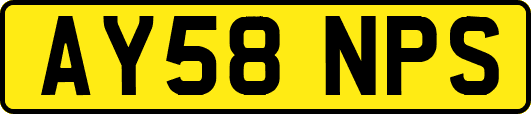 AY58NPS