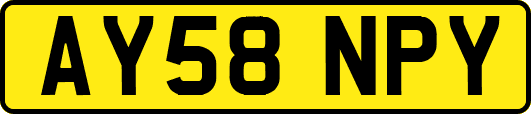 AY58NPY