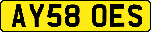 AY58OES