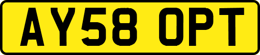 AY58OPT