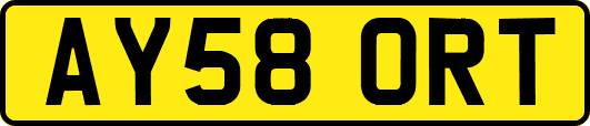 AY58ORT