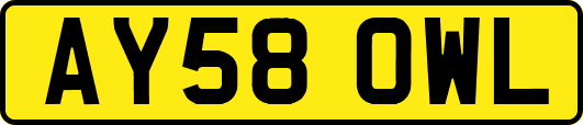 AY58OWL