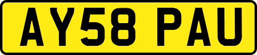 AY58PAU