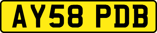 AY58PDB