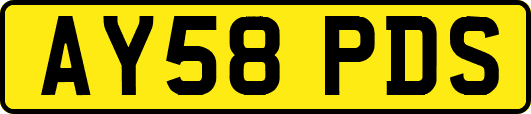 AY58PDS