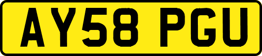 AY58PGU