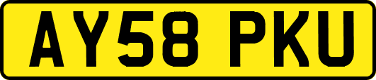 AY58PKU