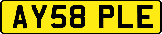 AY58PLE