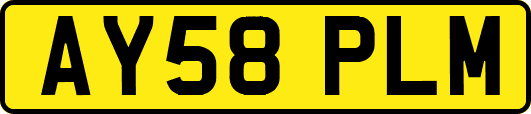 AY58PLM