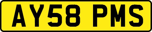 AY58PMS