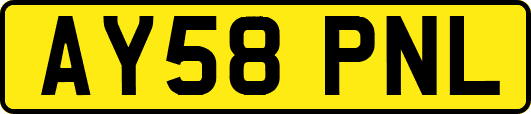 AY58PNL