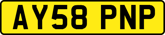 AY58PNP