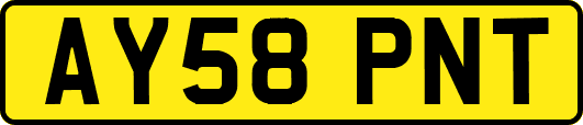 AY58PNT