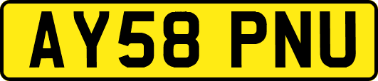 AY58PNU