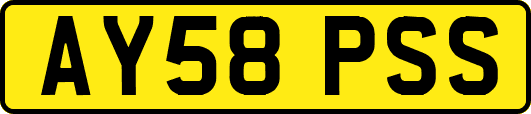 AY58PSS
