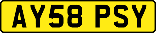 AY58PSY