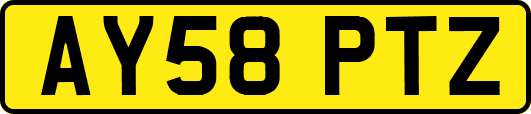 AY58PTZ
