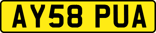 AY58PUA