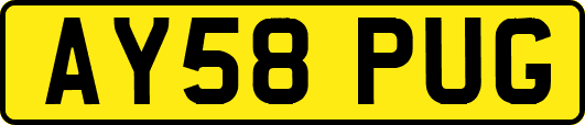 AY58PUG