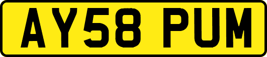 AY58PUM