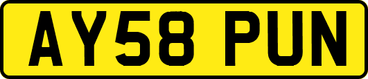 AY58PUN