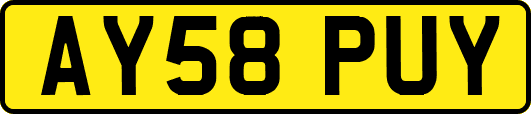 AY58PUY
