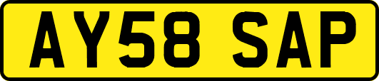 AY58SAP