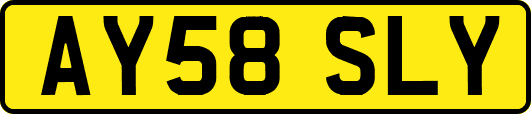 AY58SLY