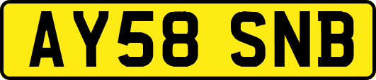 AY58SNB