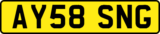 AY58SNG