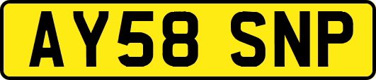 AY58SNP