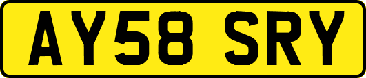 AY58SRY