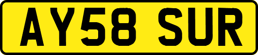 AY58SUR