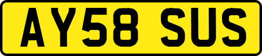 AY58SUS