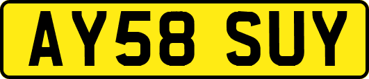 AY58SUY