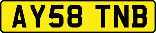 AY58TNB