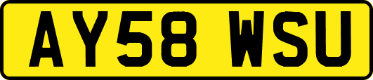 AY58WSU