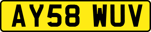 AY58WUV