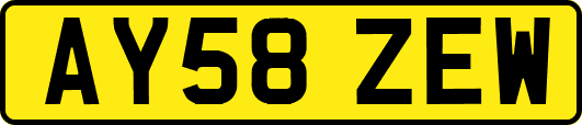 AY58ZEW