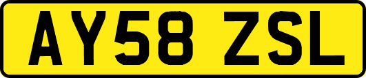 AY58ZSL