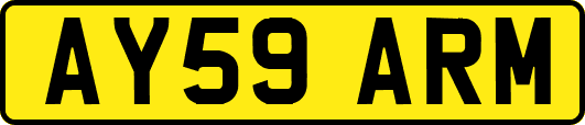 AY59ARM