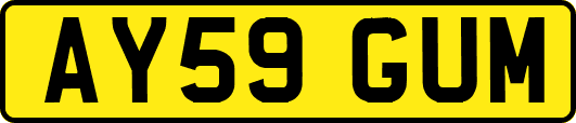 AY59GUM