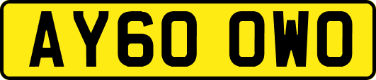 AY60OWO