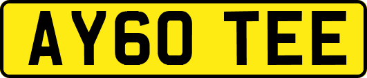 AY60TEE