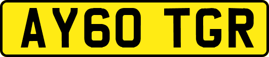 AY60TGR