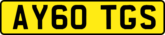 AY60TGS