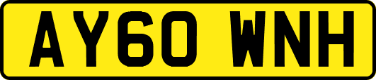 AY60WNH
