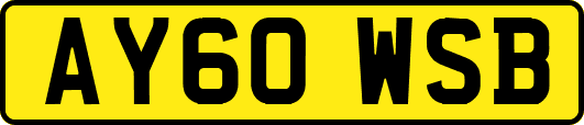 AY60WSB