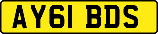 AY61BDS